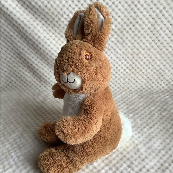 Peter Rabbit Beatrix Potter Plush Bunny Rabbit Stuffed Animal Embroidered Eyes - Picture 6 of 13